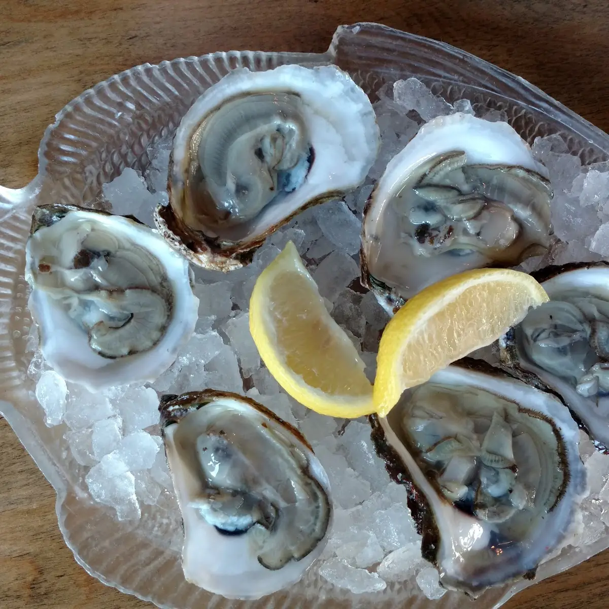 Local Oysters