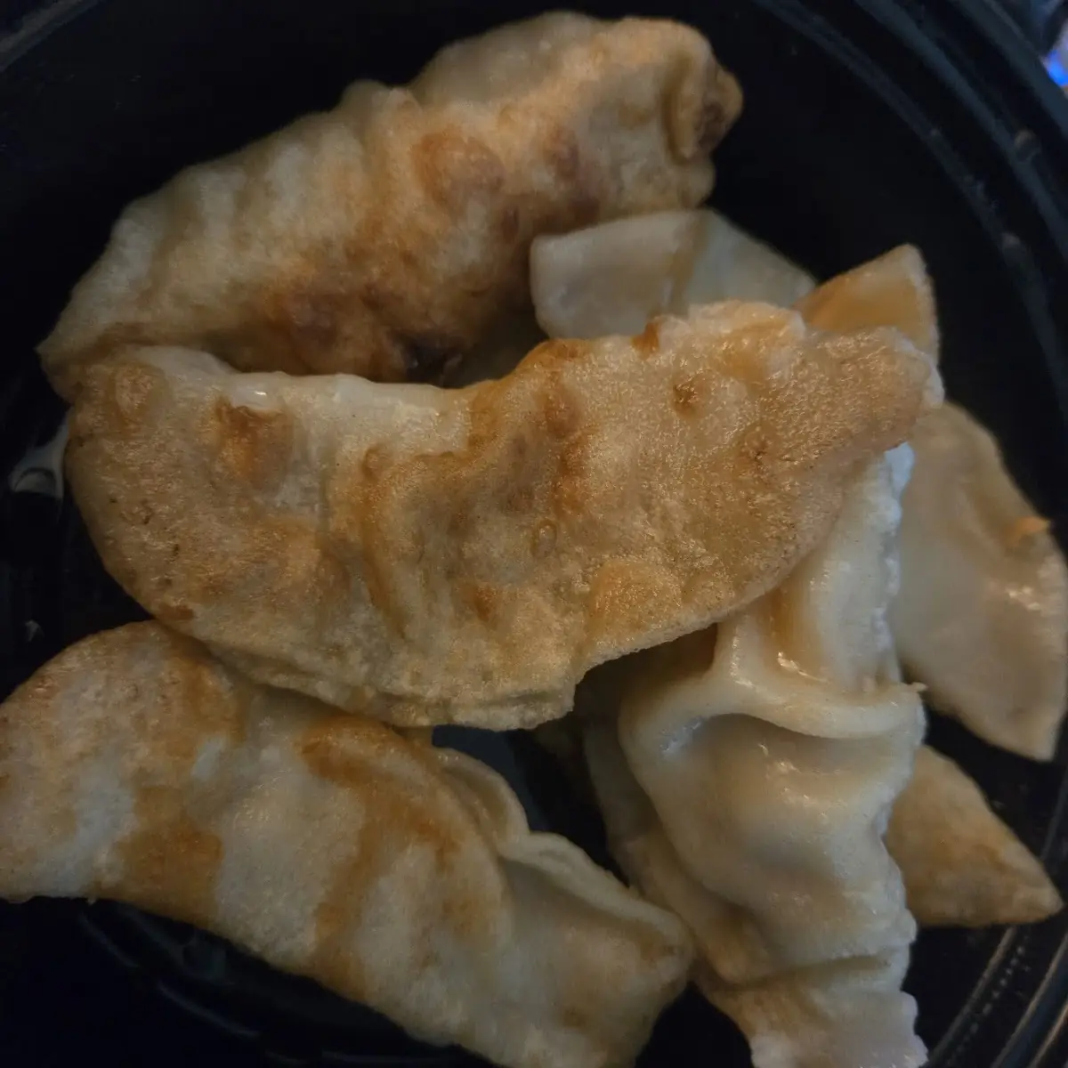 Fried Dumplings or Steamed 8