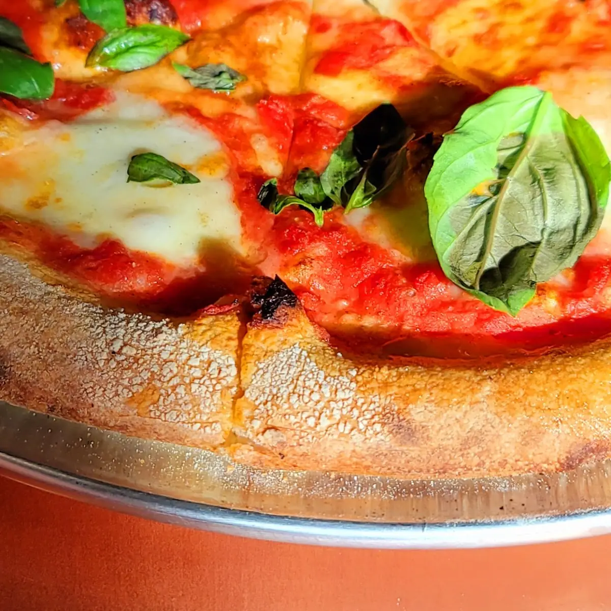 Pizza Margherita