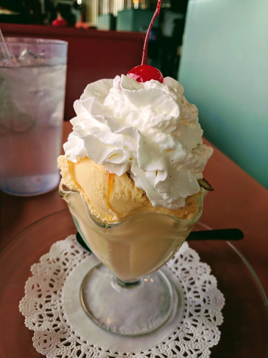 Single Dip Vanilla Ice Cream