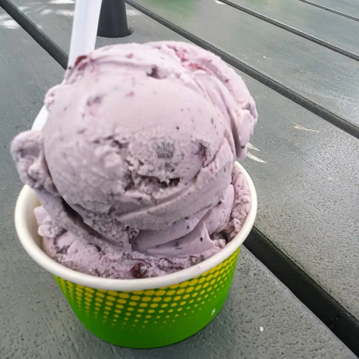 Small Maine Blueberry