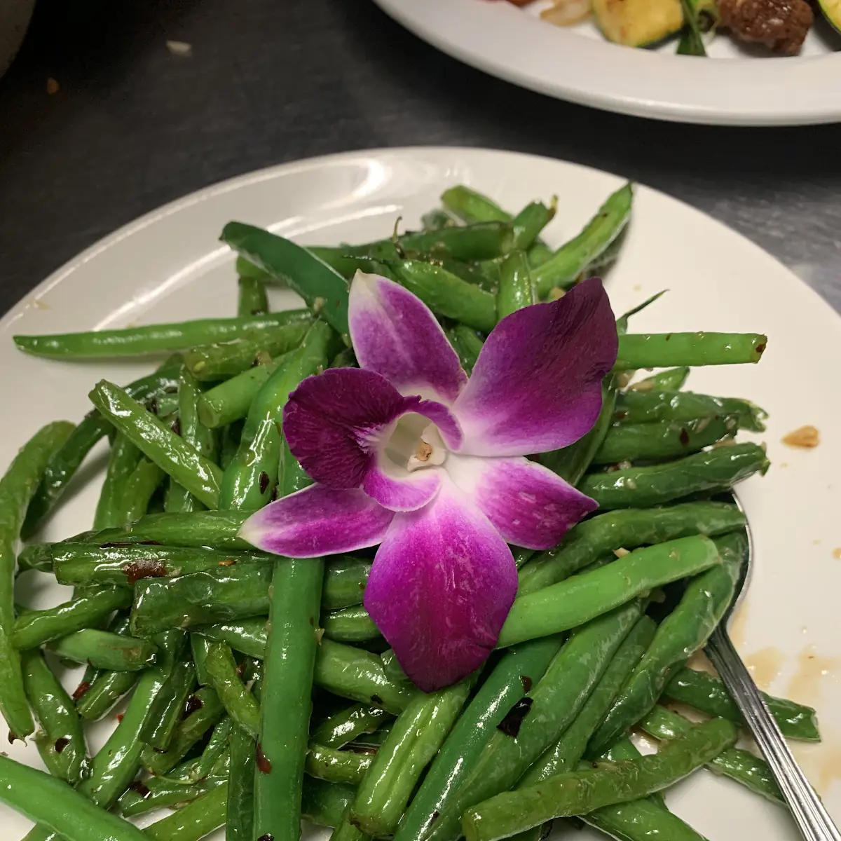 String Beans