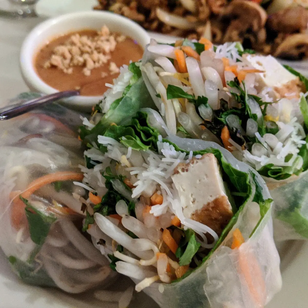 Tofu Salad Rolls