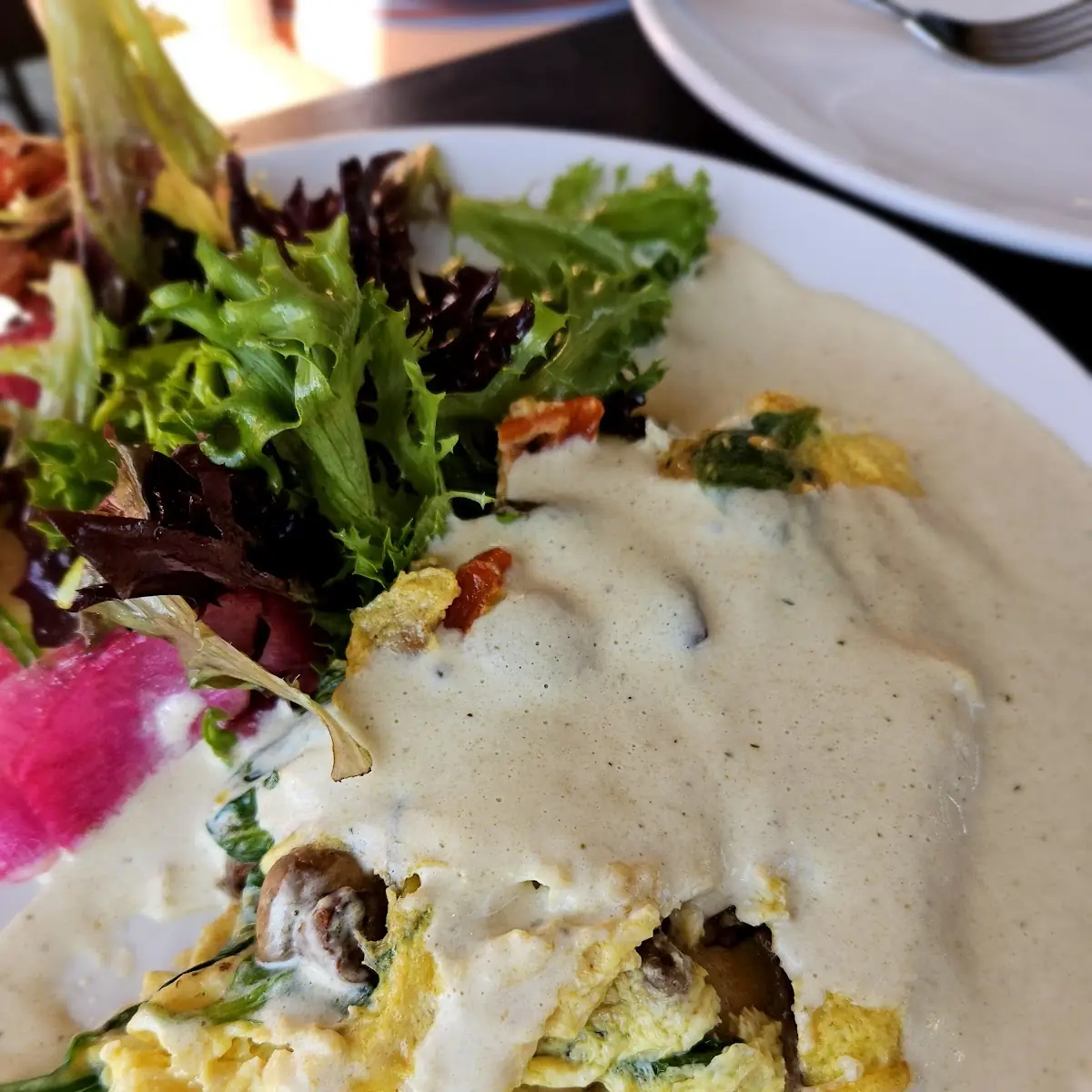 Forager Omelette