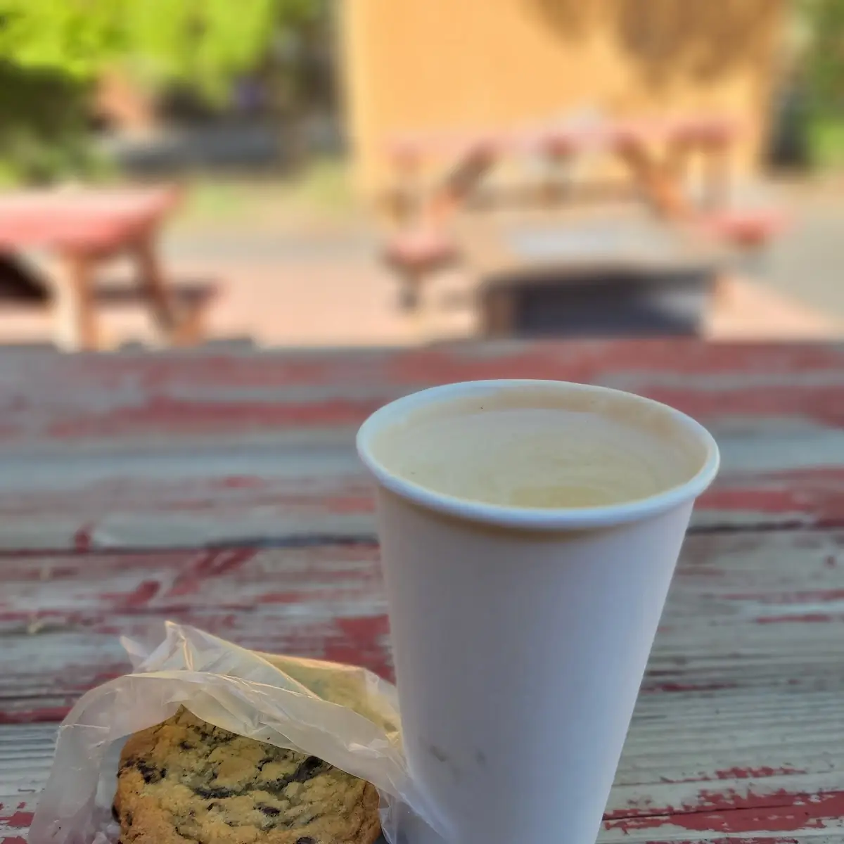 Chocolate Chip Cookie