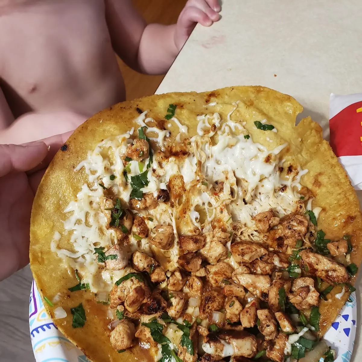 Chicken Quesadilla