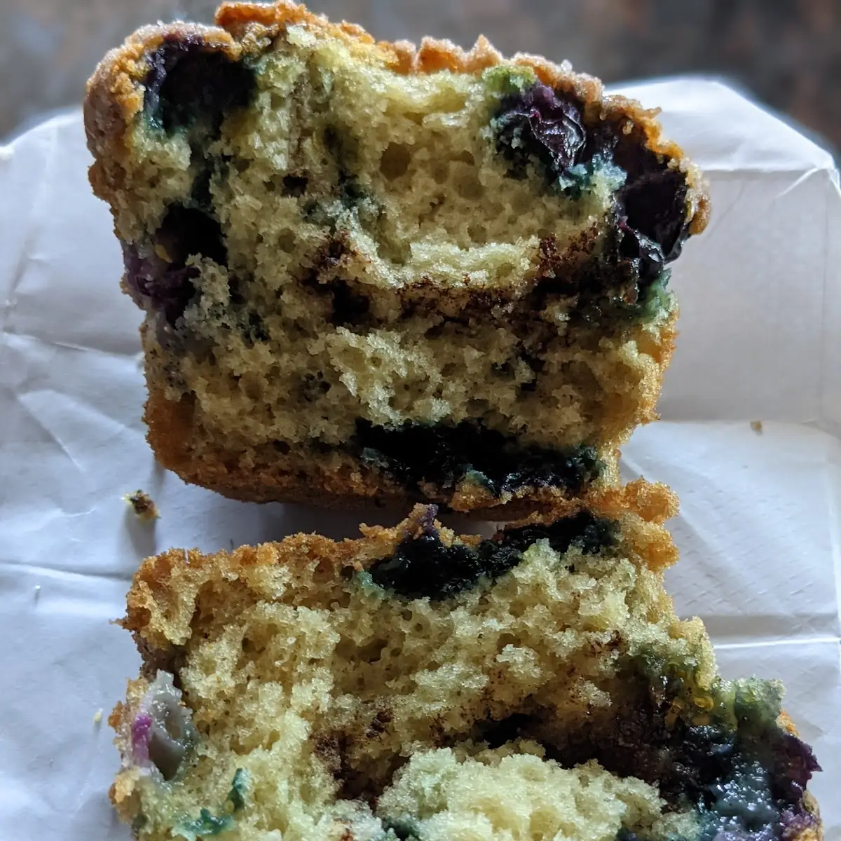 Blueberry Muffin