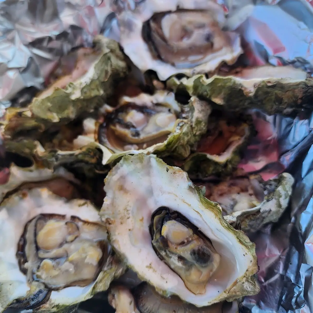 BBQ Oysters