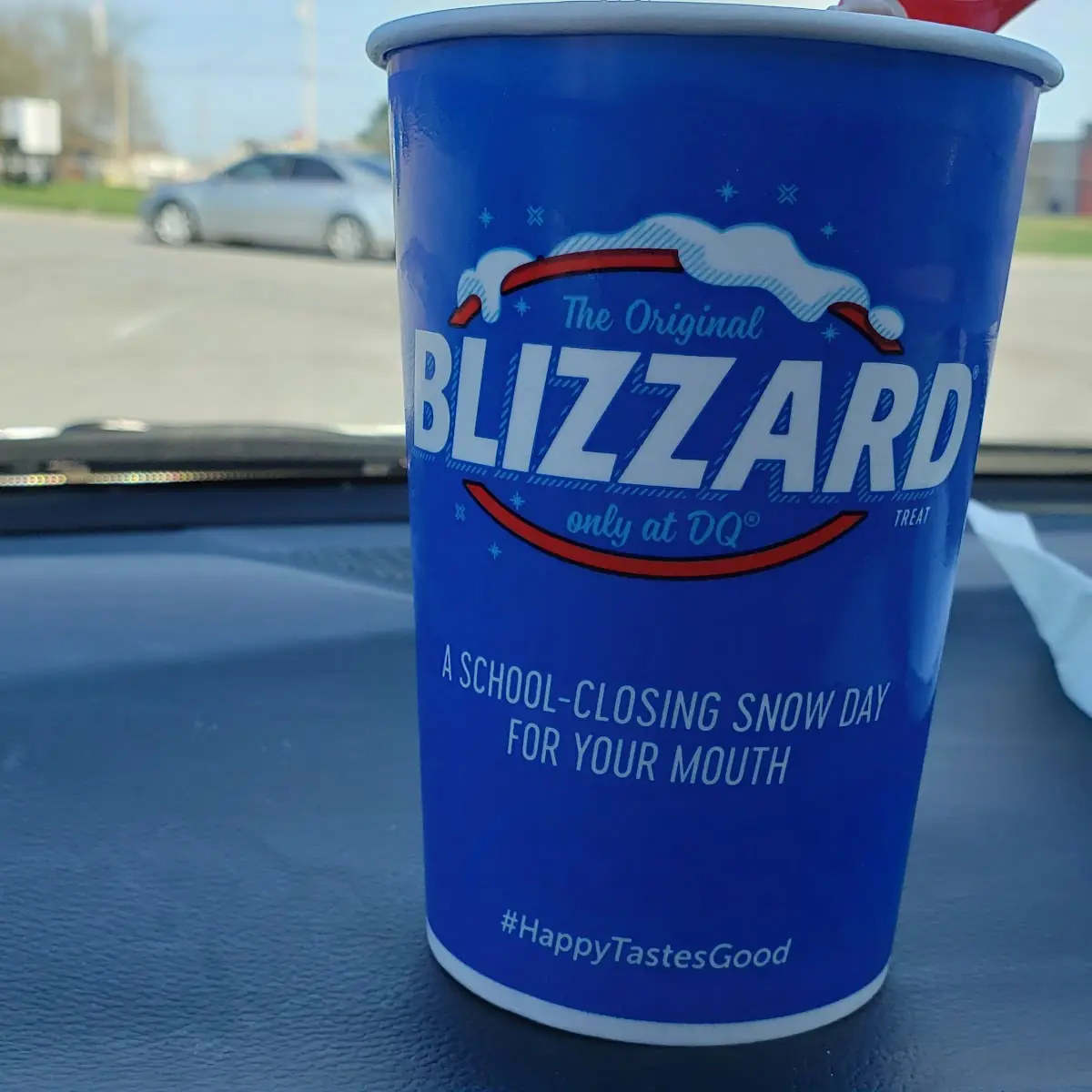 Medium Chocolate Ice Cream Served in Blizzard Cup