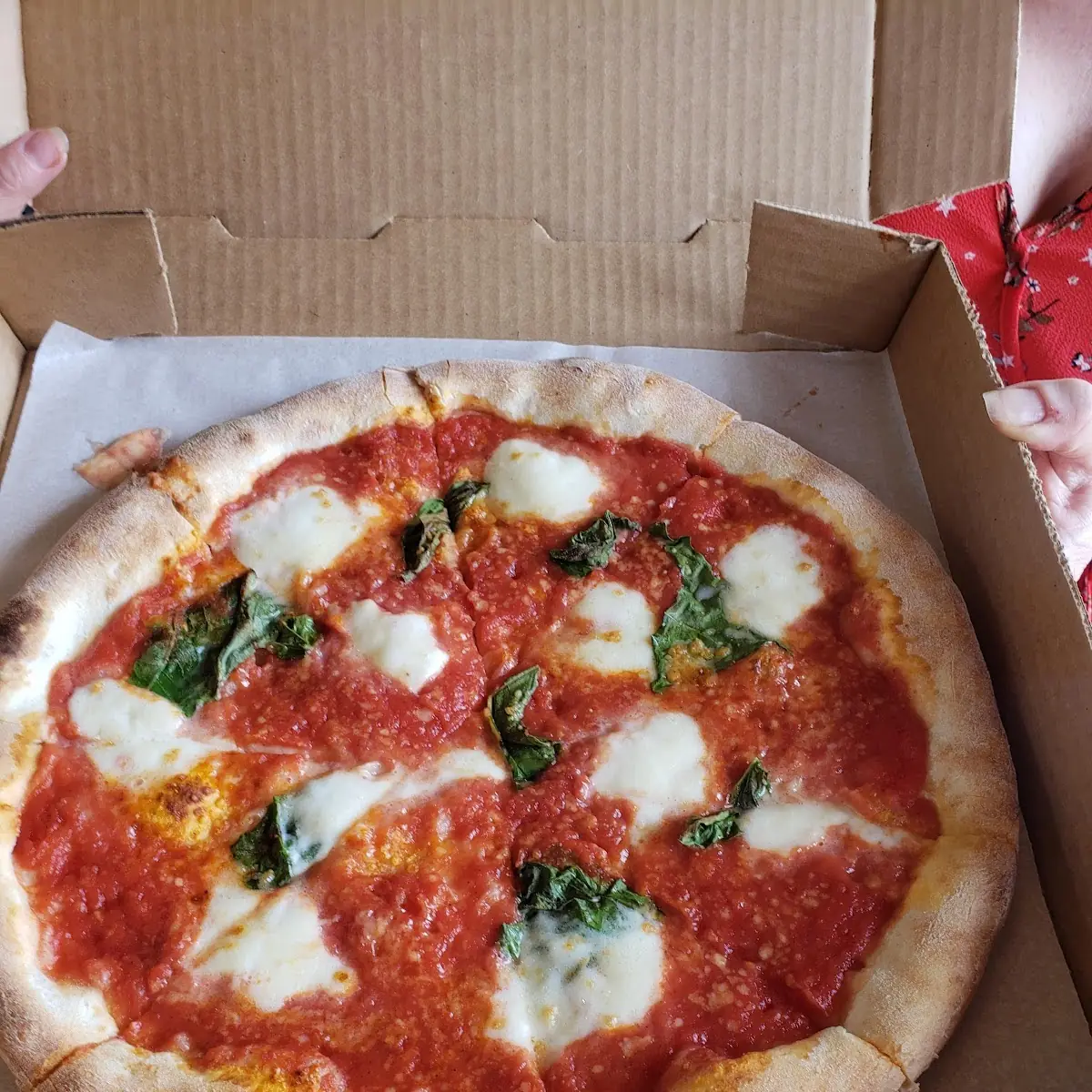 Pizza Margherita