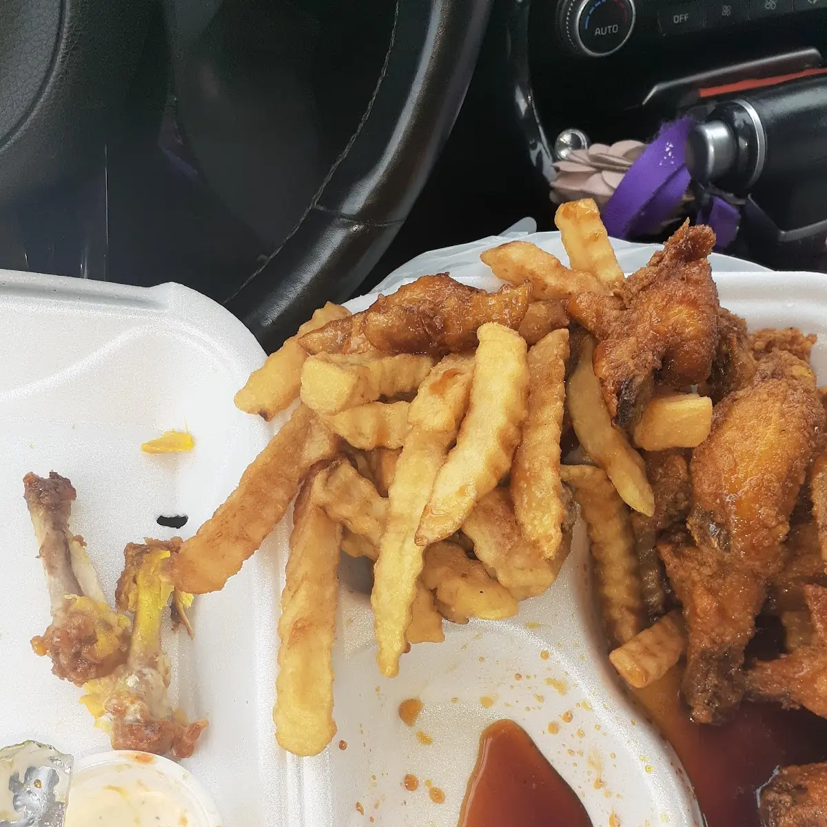 Honey Braised Chicken Wings and Fries
