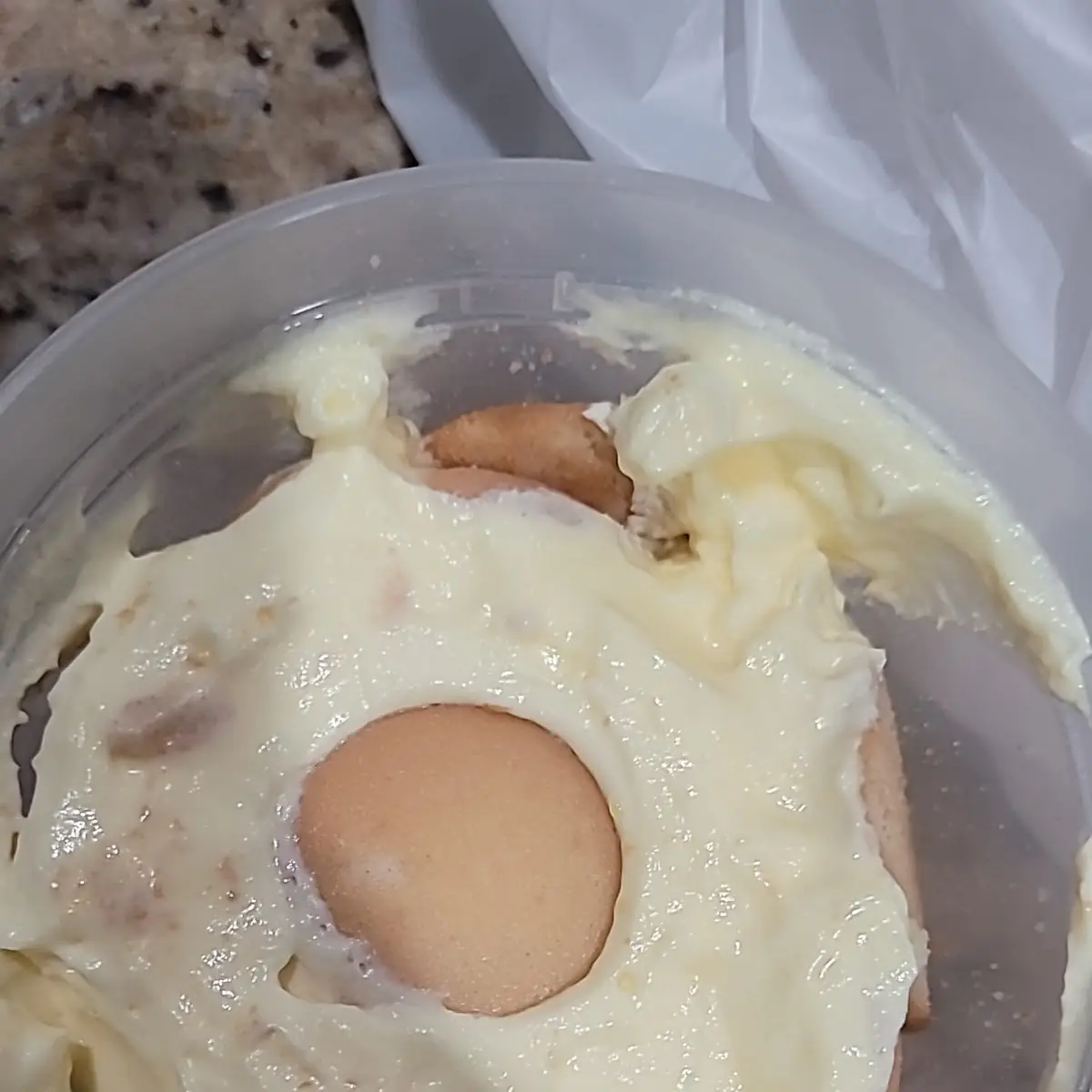 Onion Soup