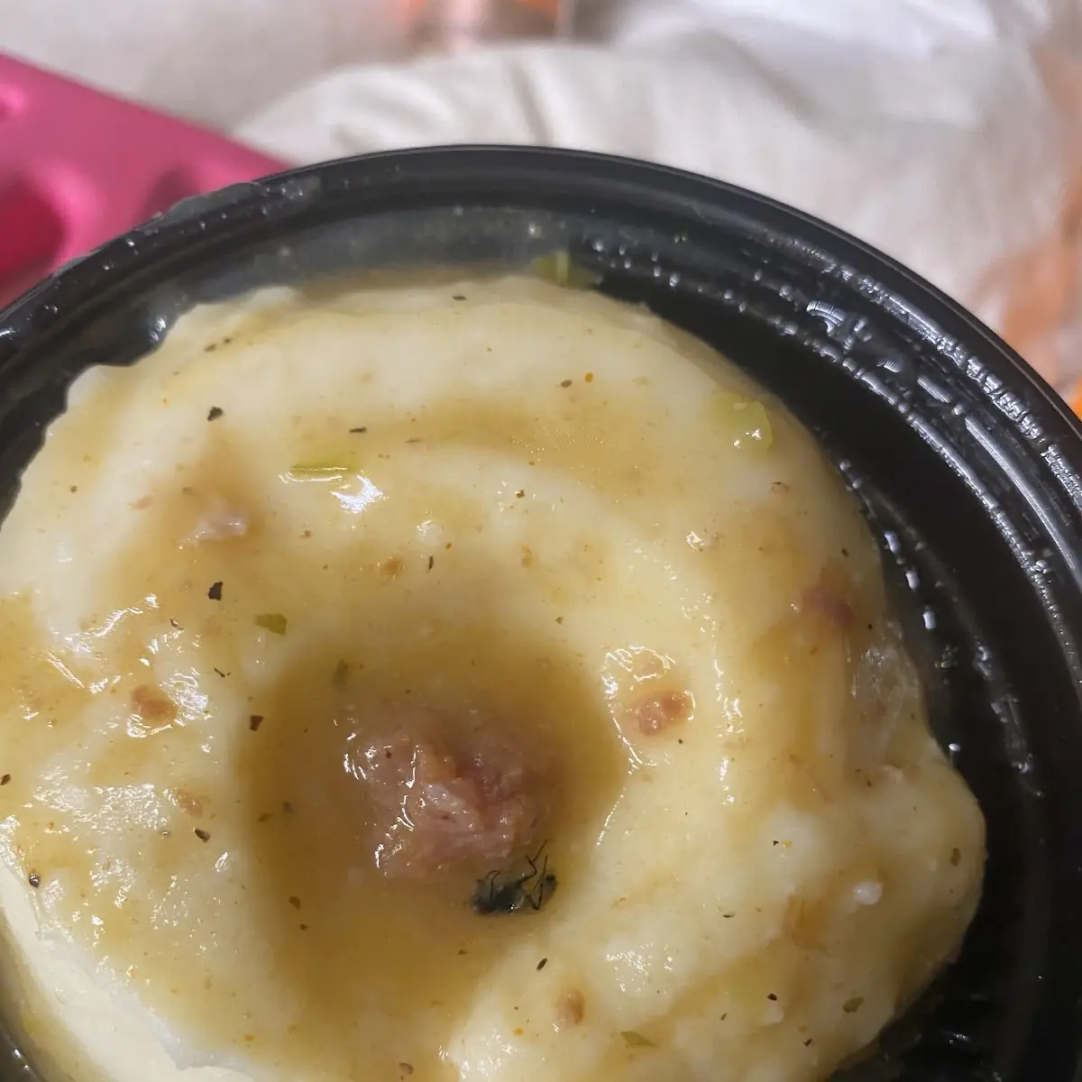 Onion Soup