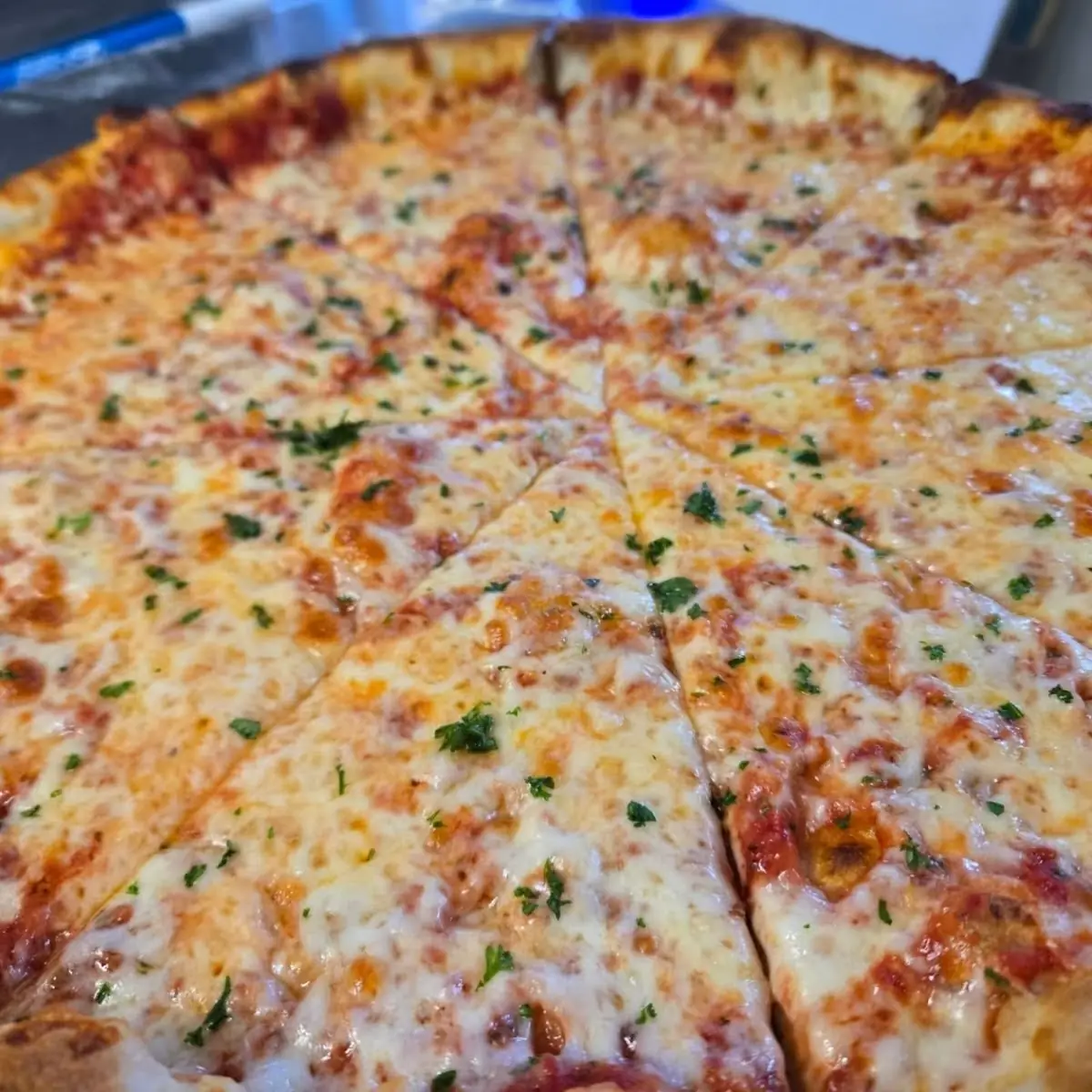 Large Cheese Pizza