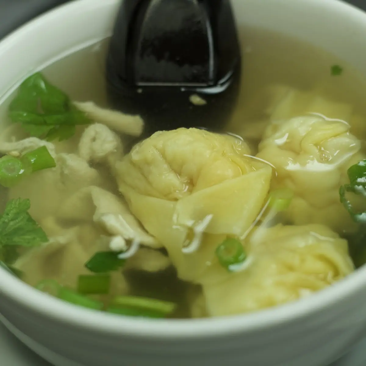 Wonton Soup
