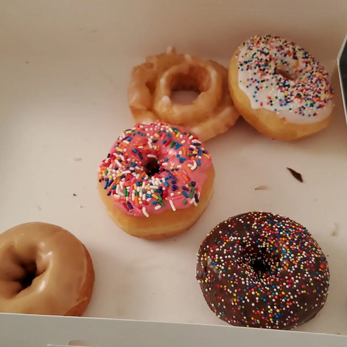 Mixed Dozen Donuts