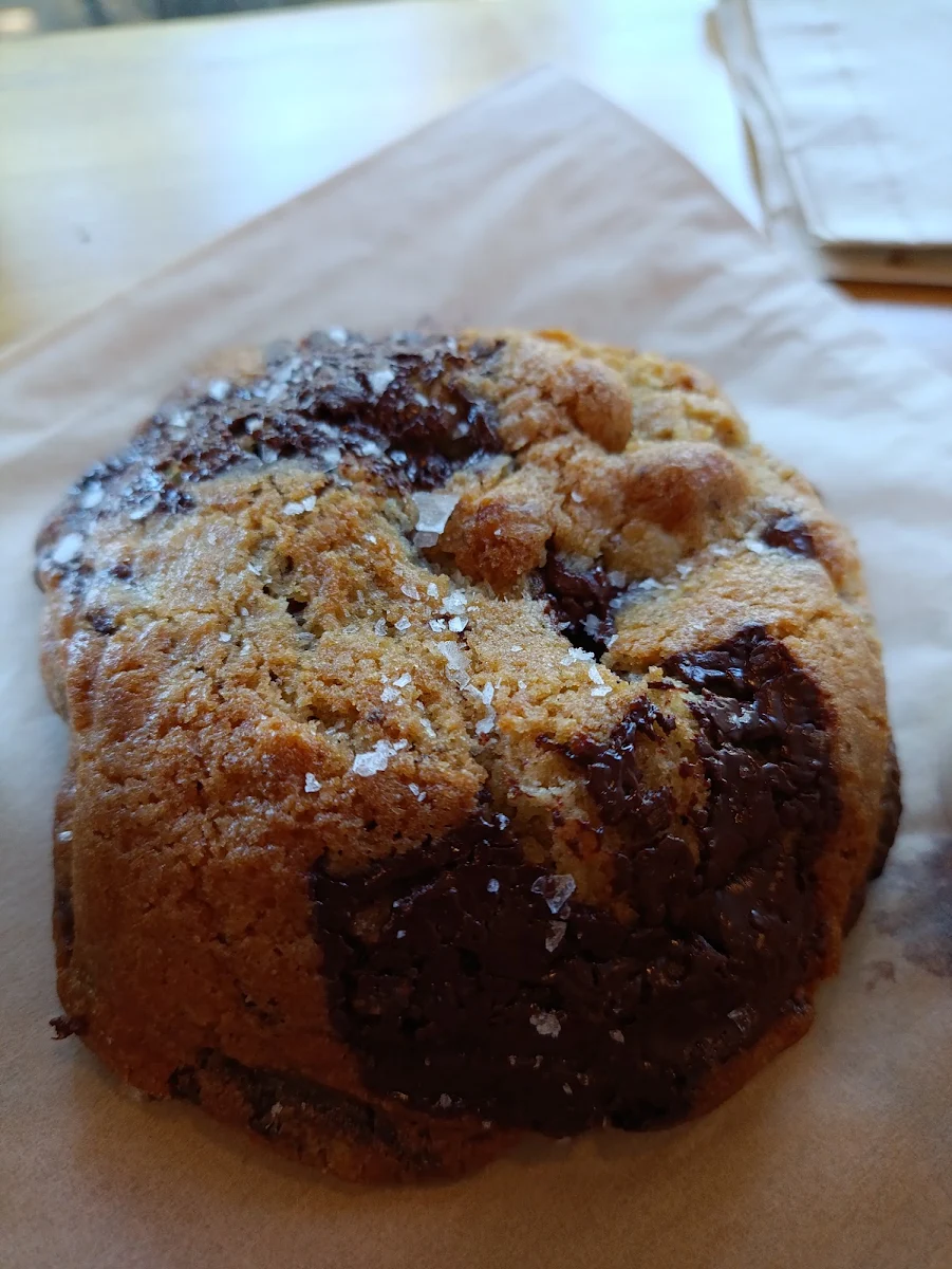 Blueberry Muffin