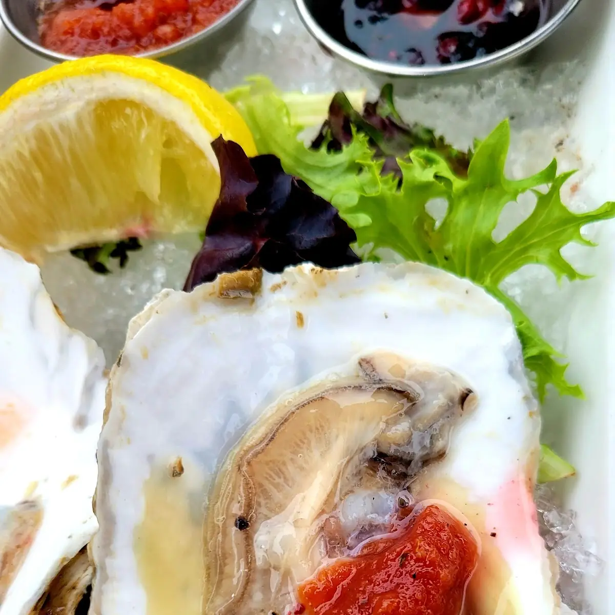 Oysters on the Half Shell