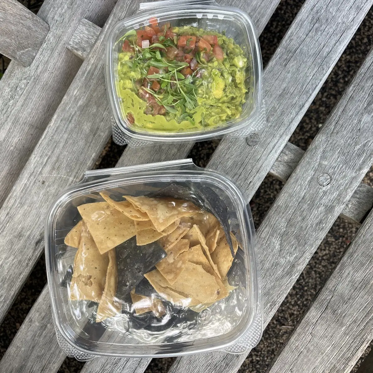 Chips & Fresh Made Guacamole