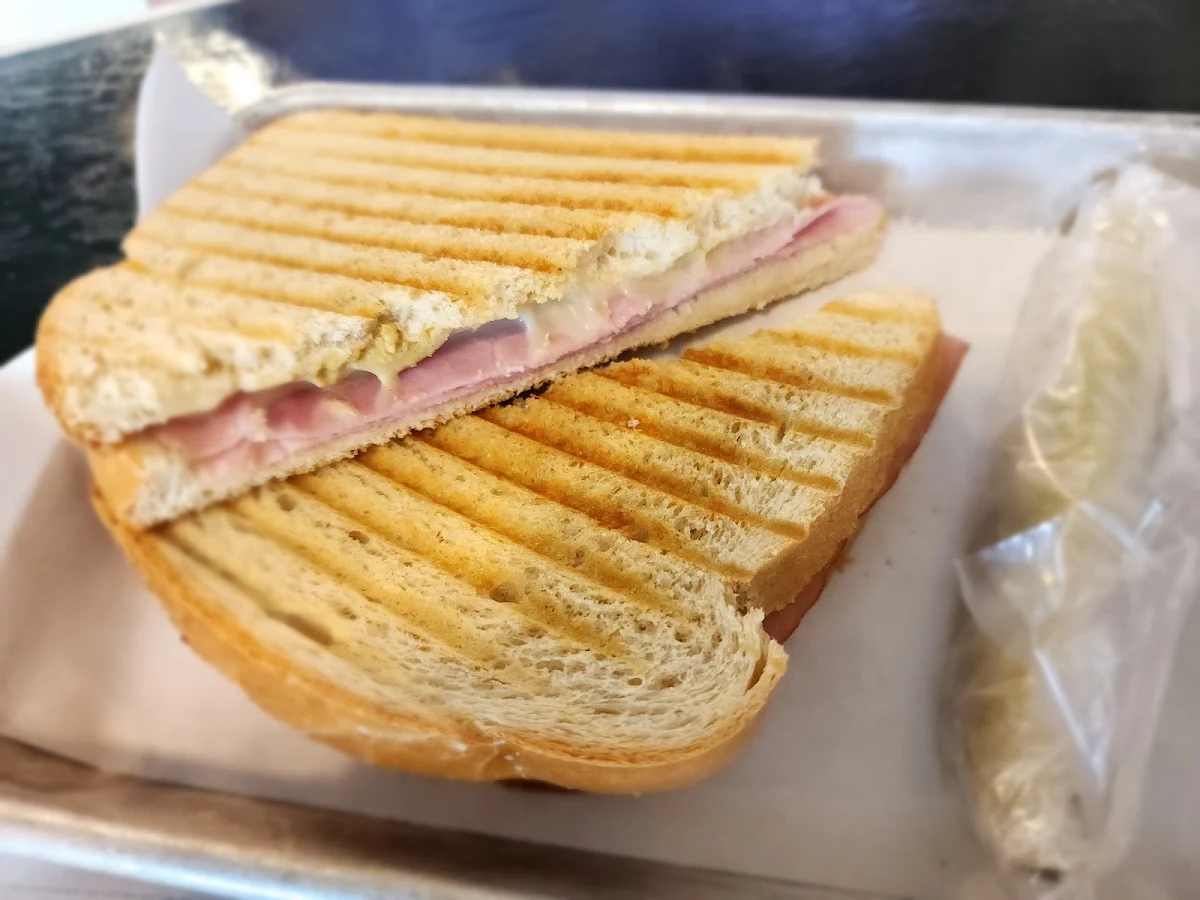 Ham & Swiss Panini