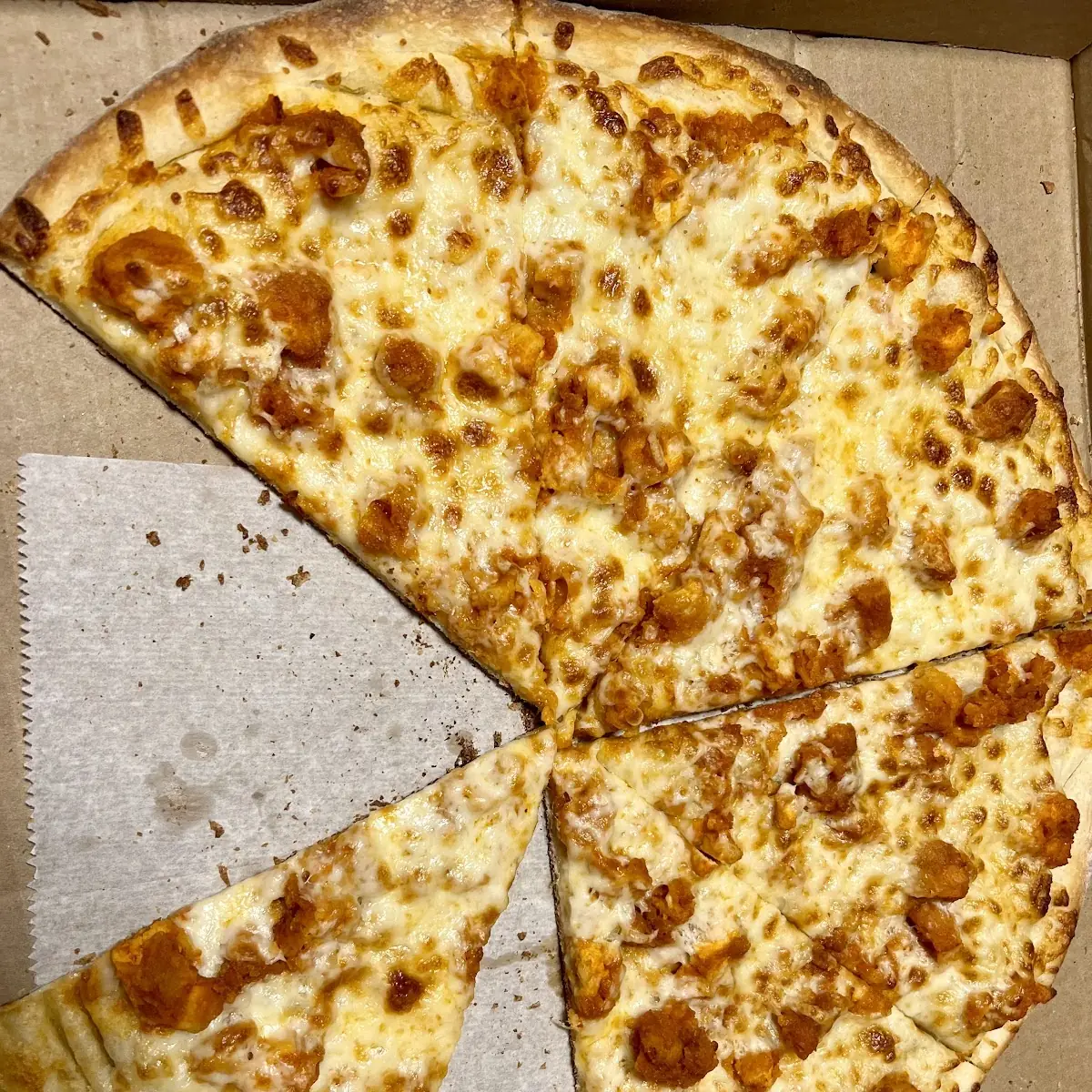 Plain Cheese Pizza