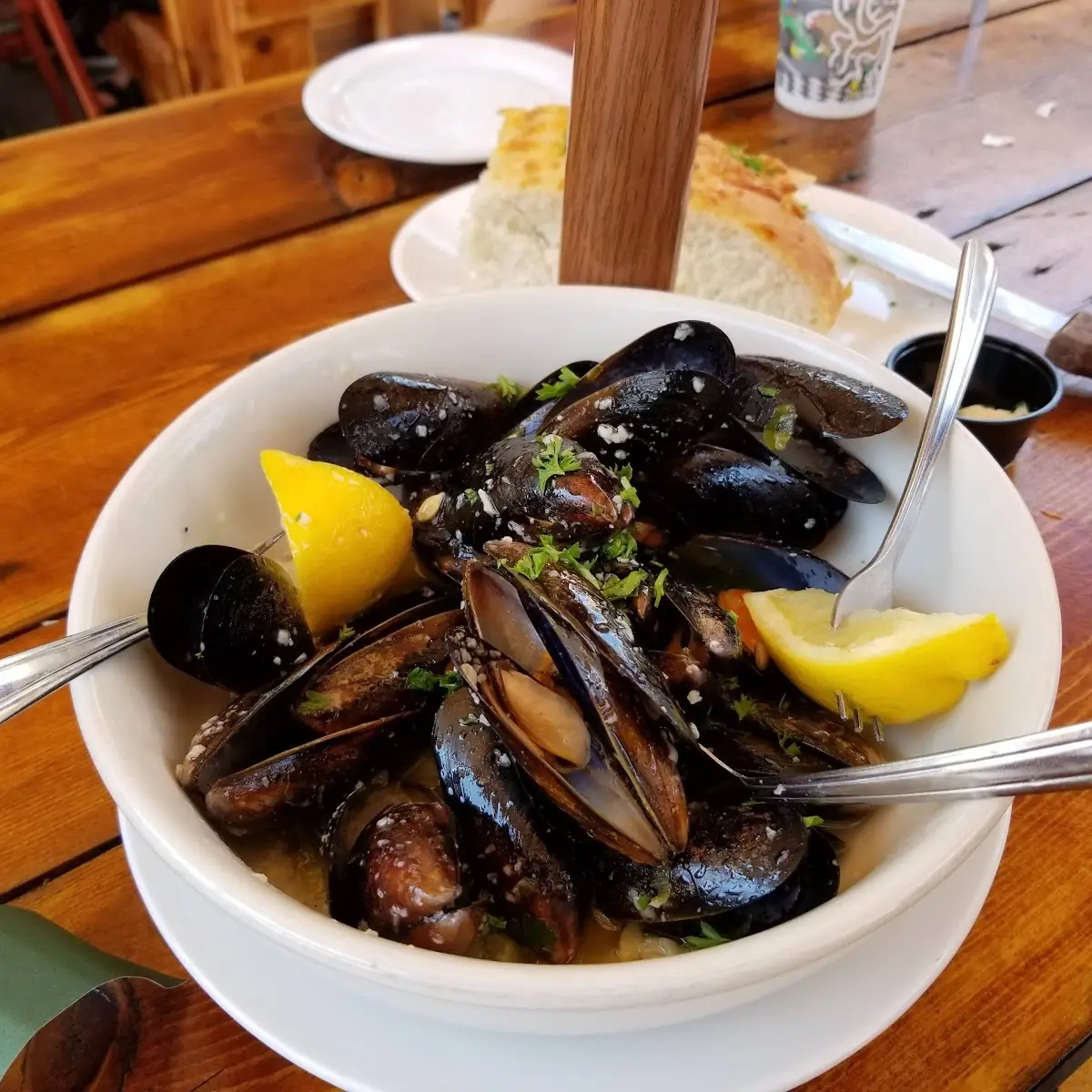 East Coast Mussels