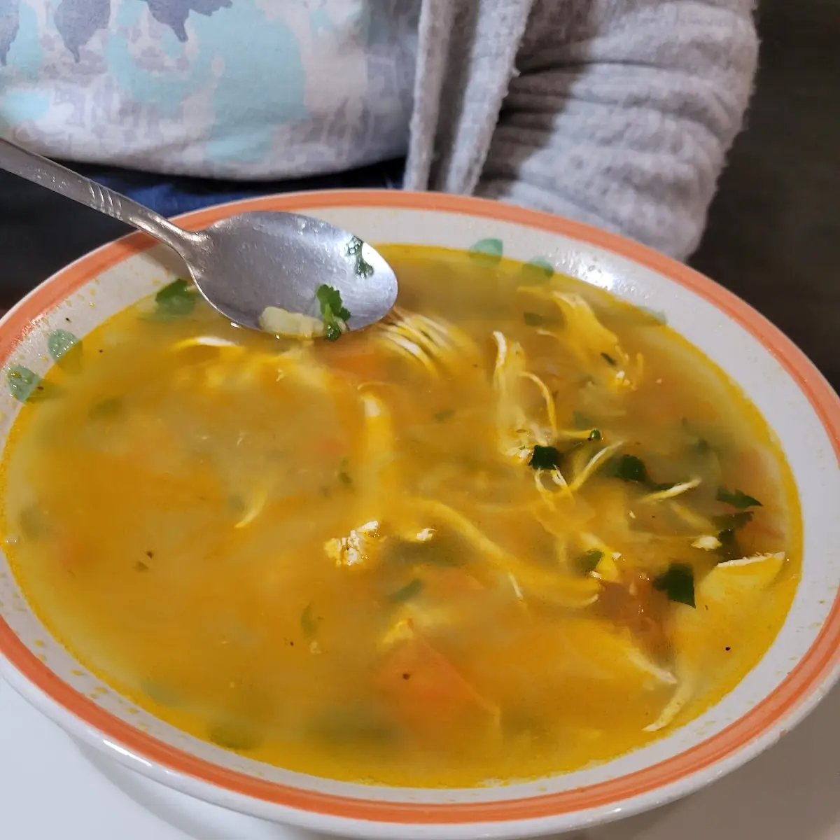 Chicken Soup Fantastic