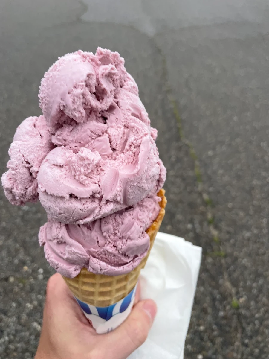 Black Raspberry Ice Cream Cone