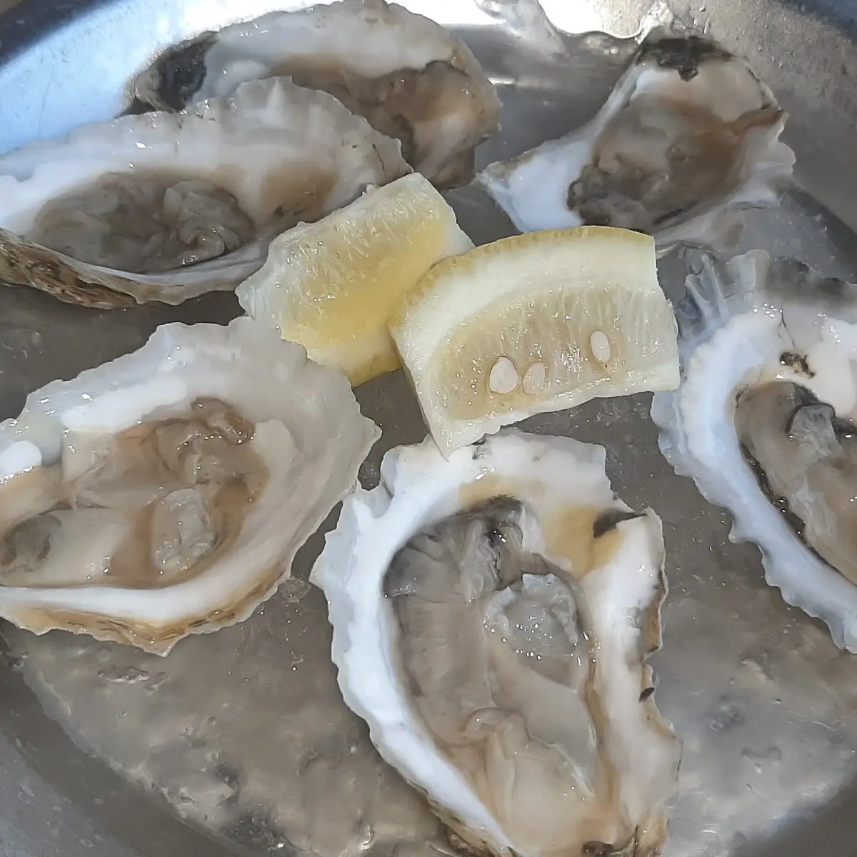 Oysters on Half Shell