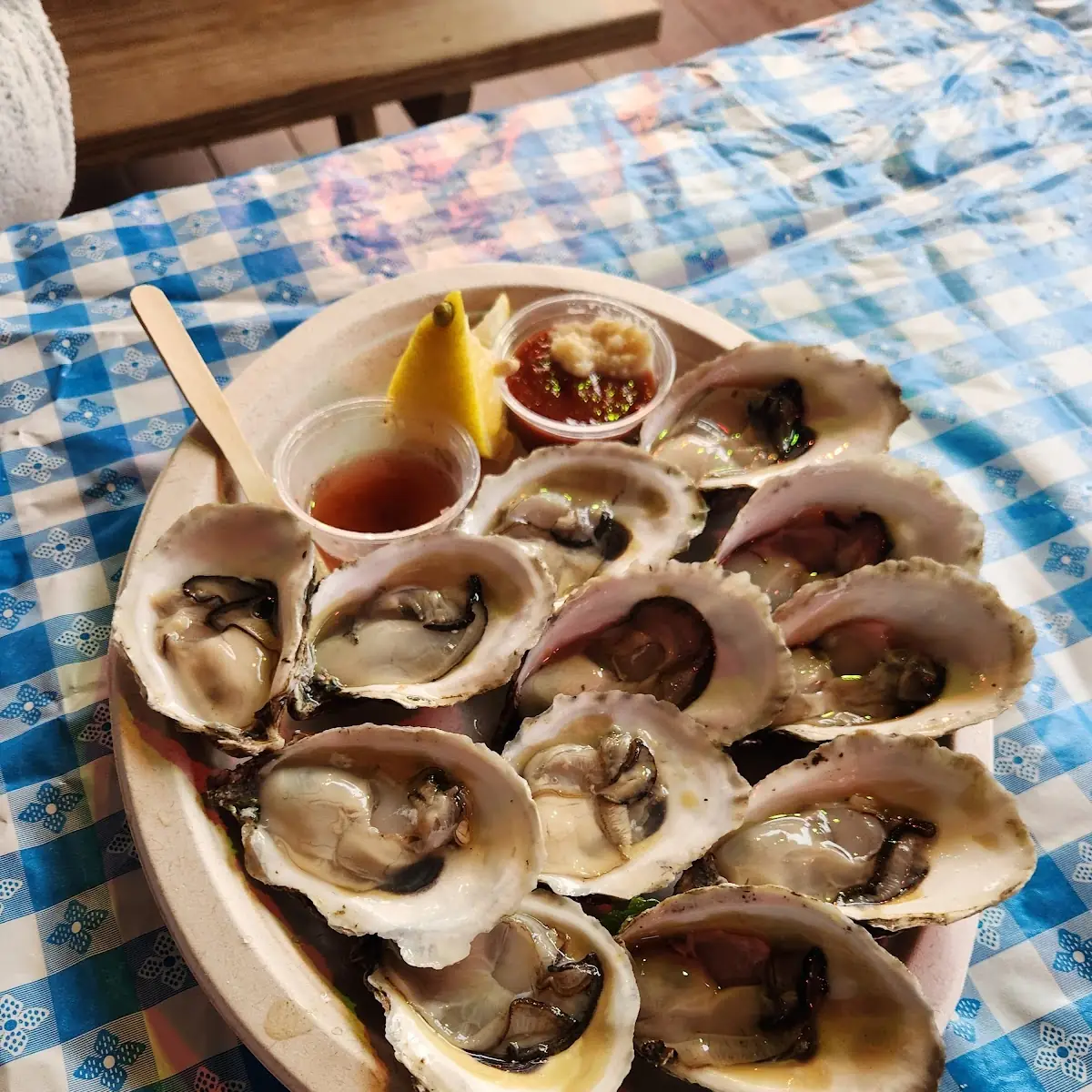 Dozen Oysters
