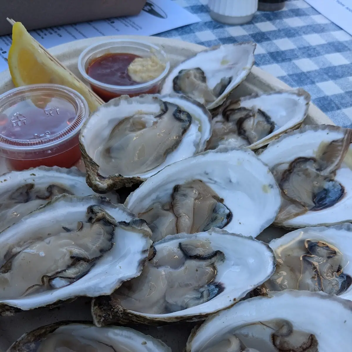 Oysters on the Half Shell
