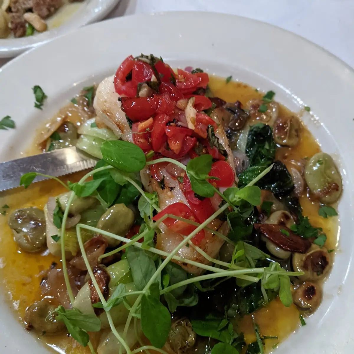 Red Snapper Carponatta