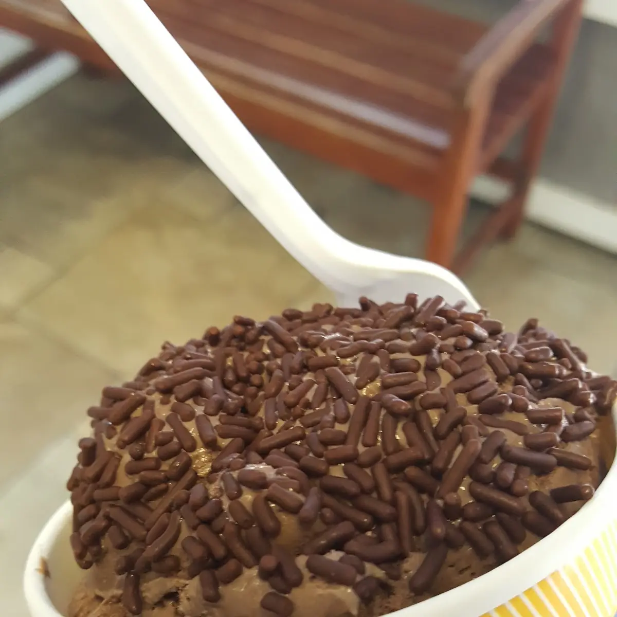 Chocolate Ice Cream