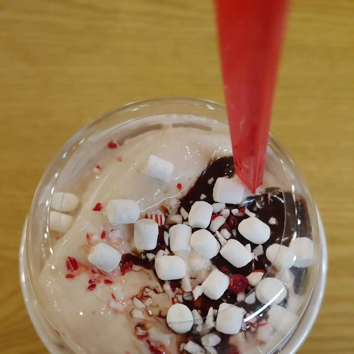 Peppermint Hot Chocolate Shake