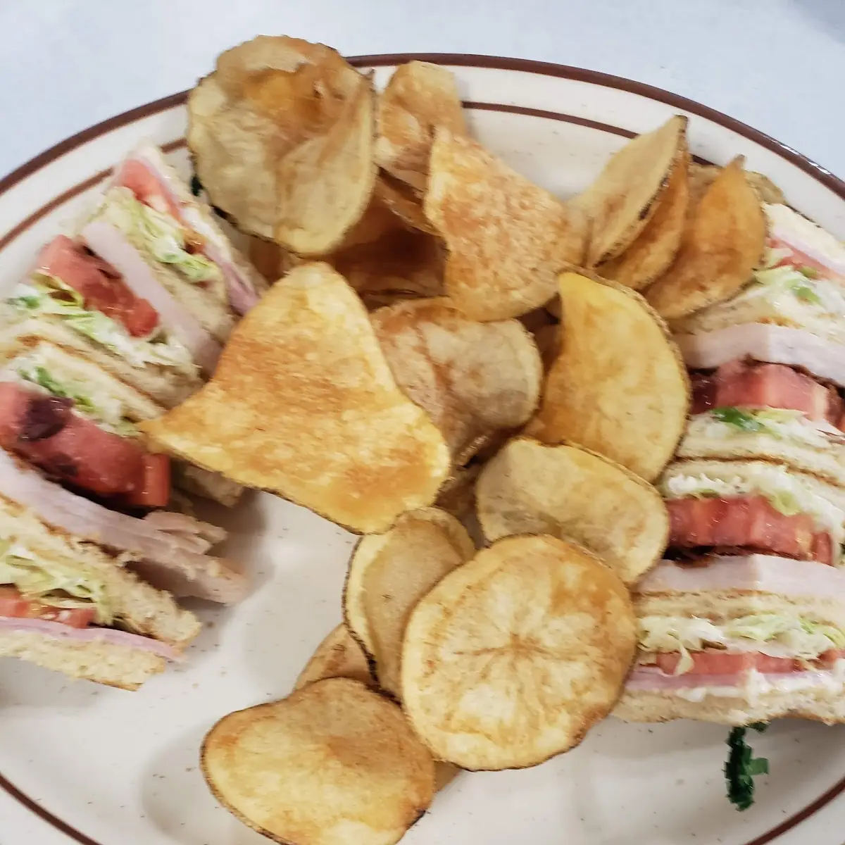 Turkey Club with Hot Chips