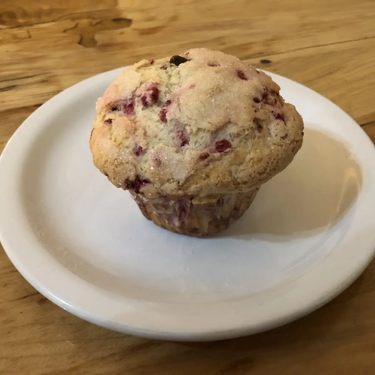 Blueberry Muffin