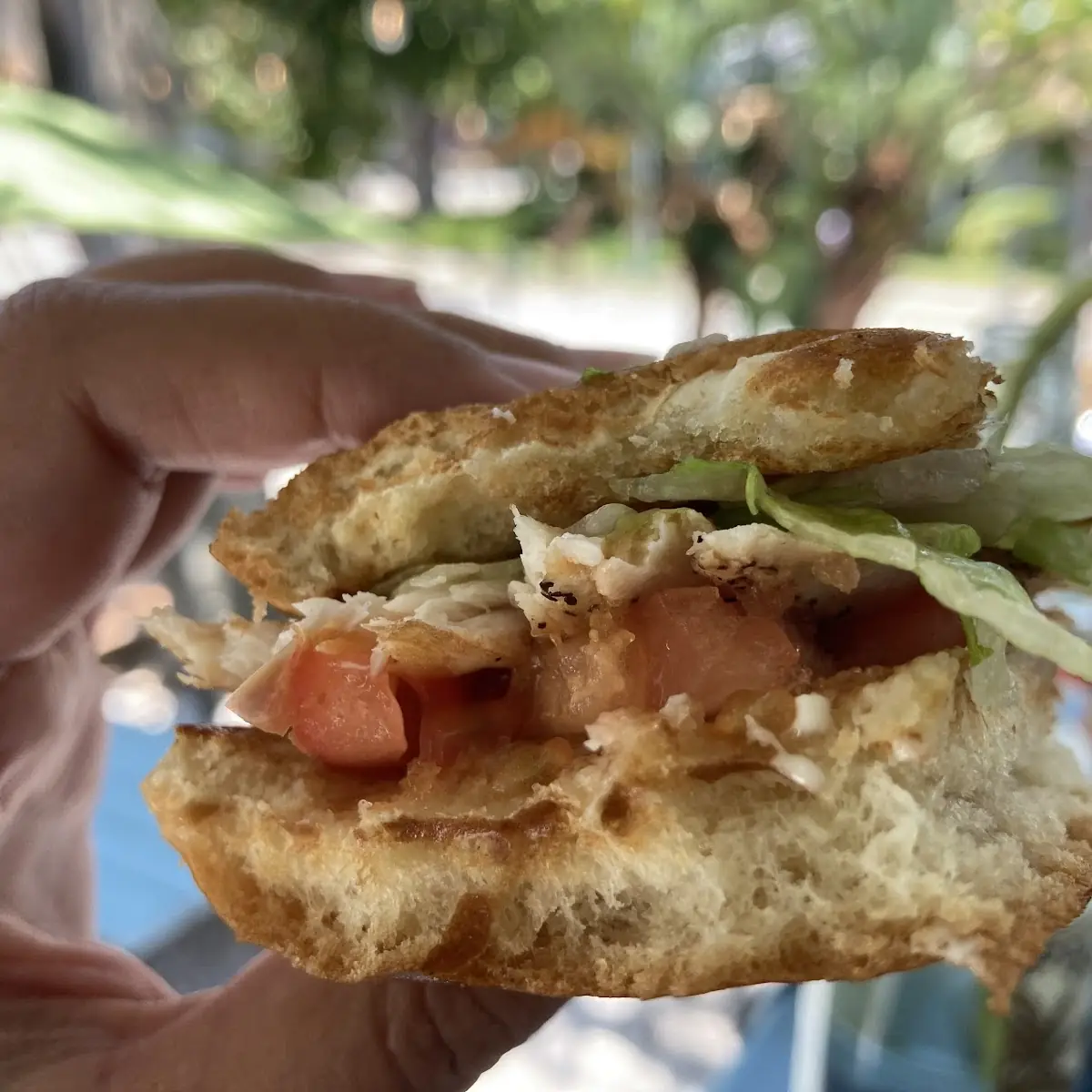 Fish Sandwich