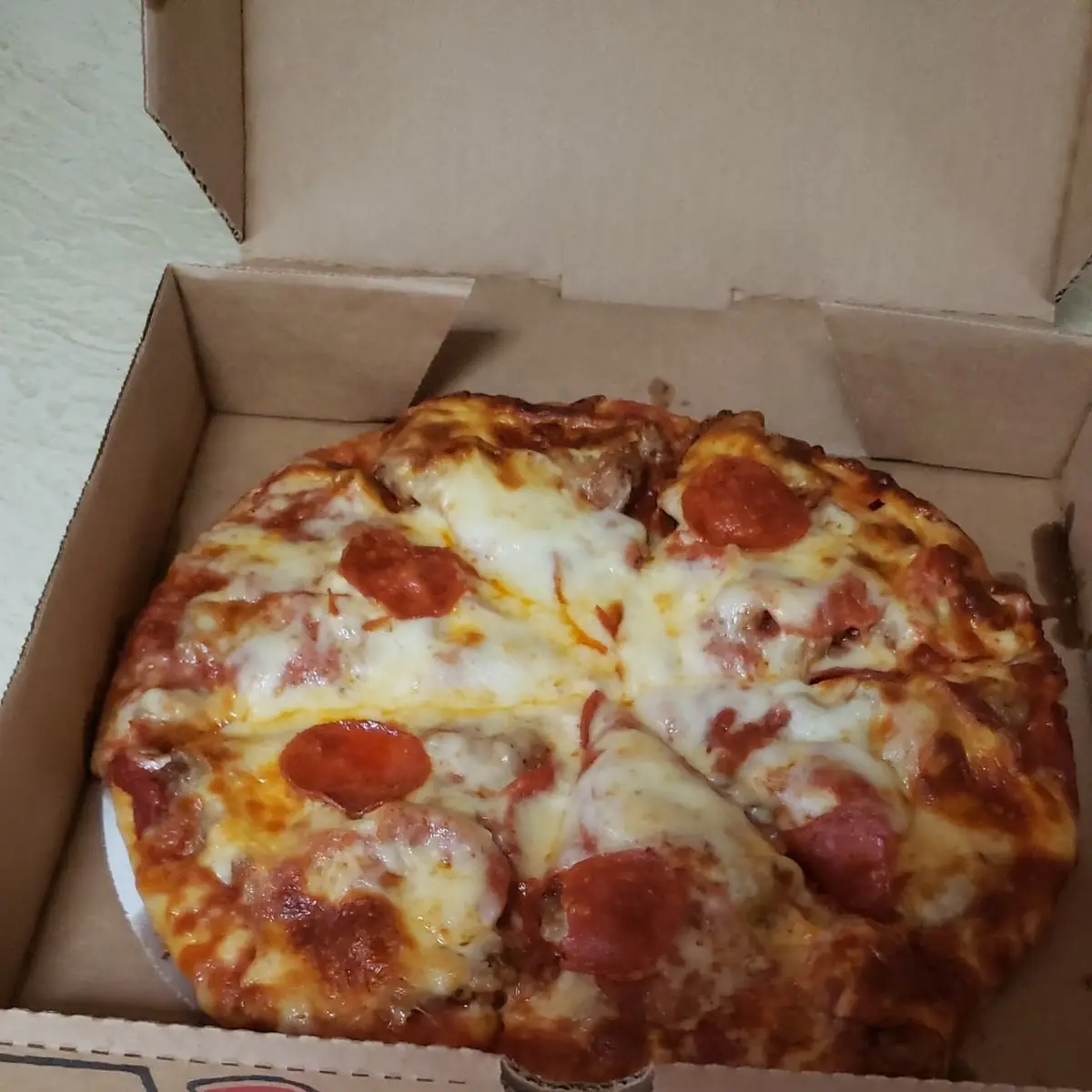 Sausage and Pepperoni Pizza