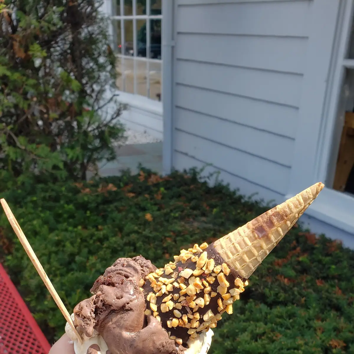 Vanila and Chocolate Ice Cream