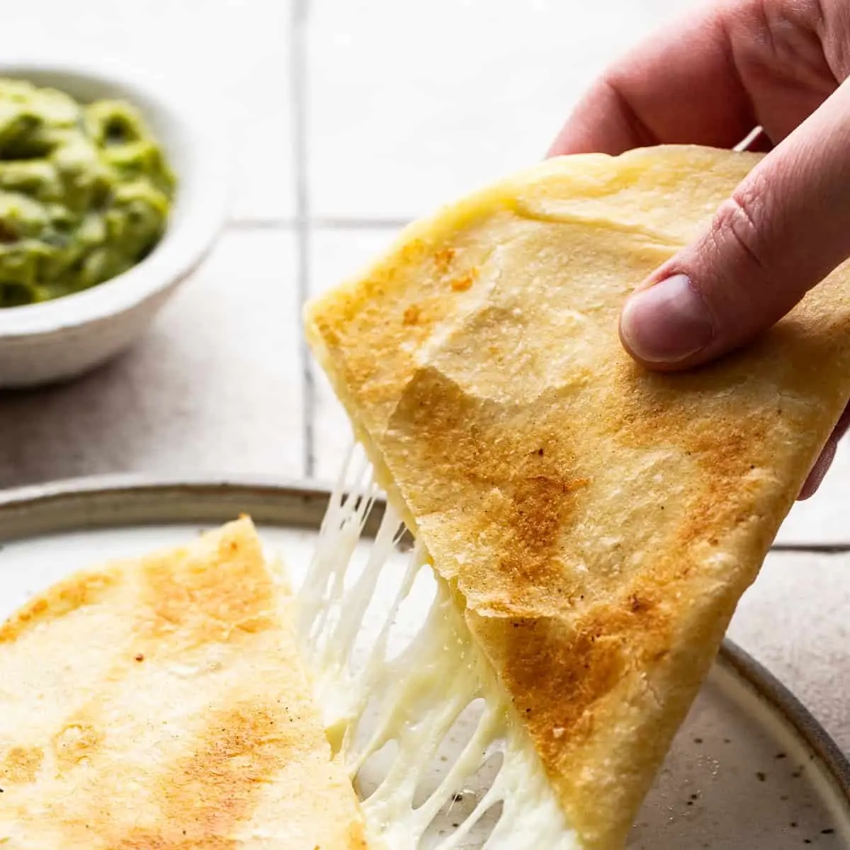 Cheese Quesadilla