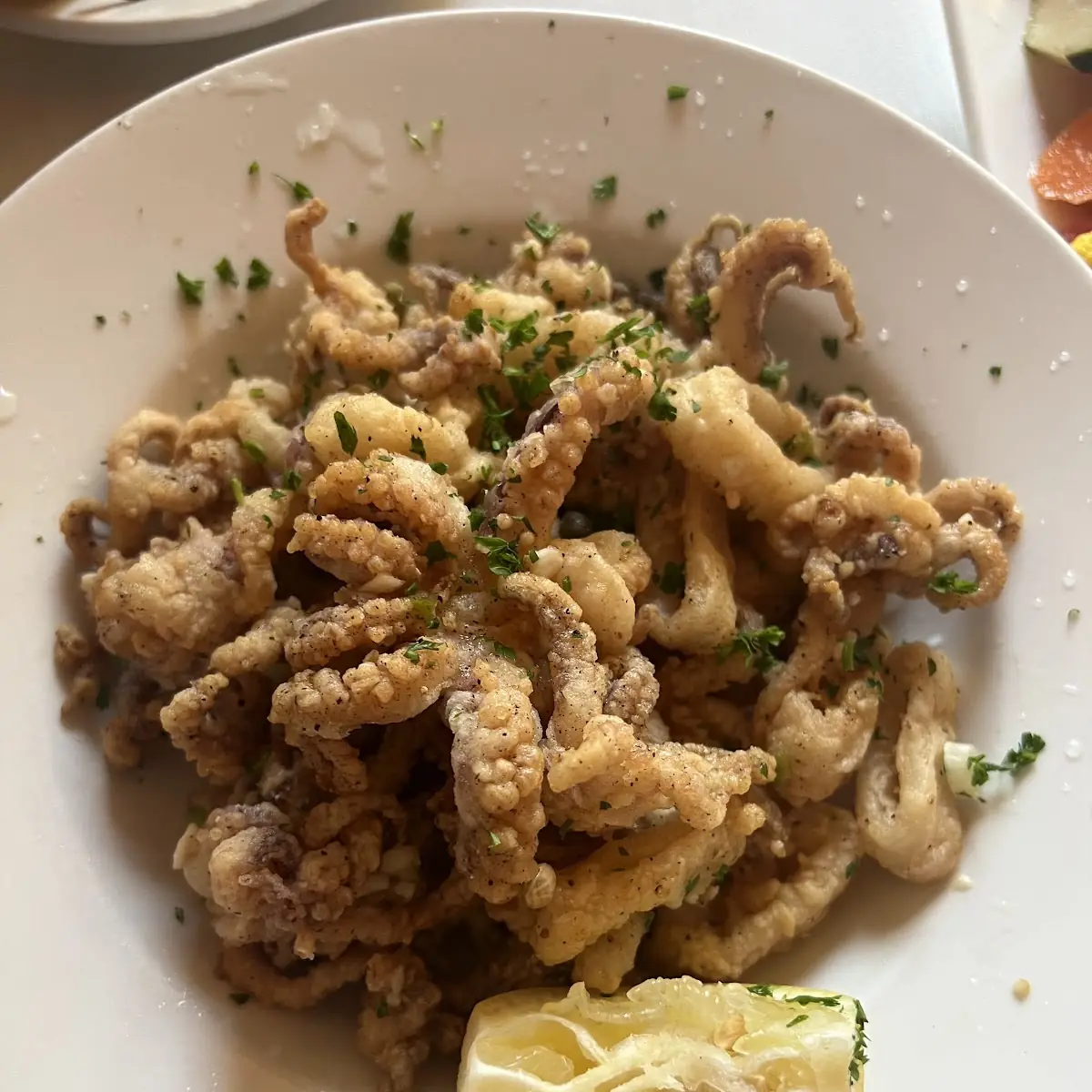 Fried Calamari
