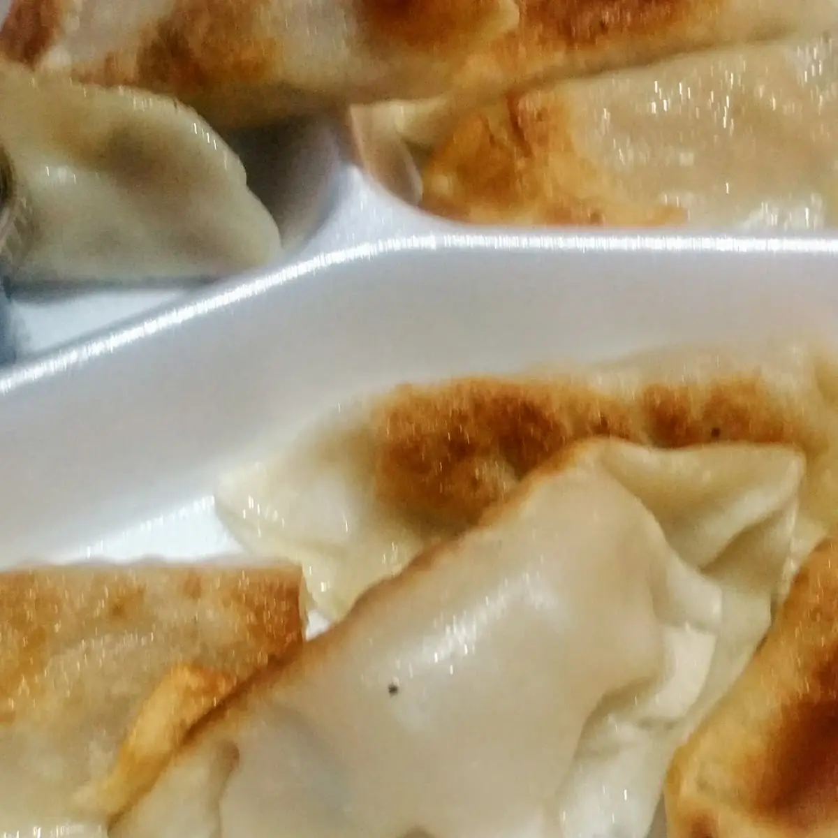 Pork Dumplings
