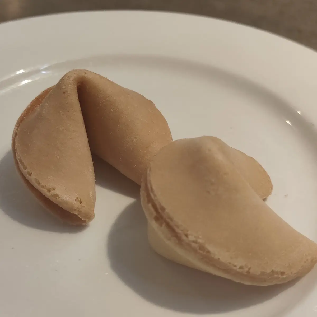 Fortune Cookie