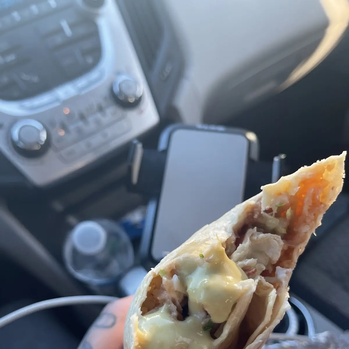 Veggie Burrito