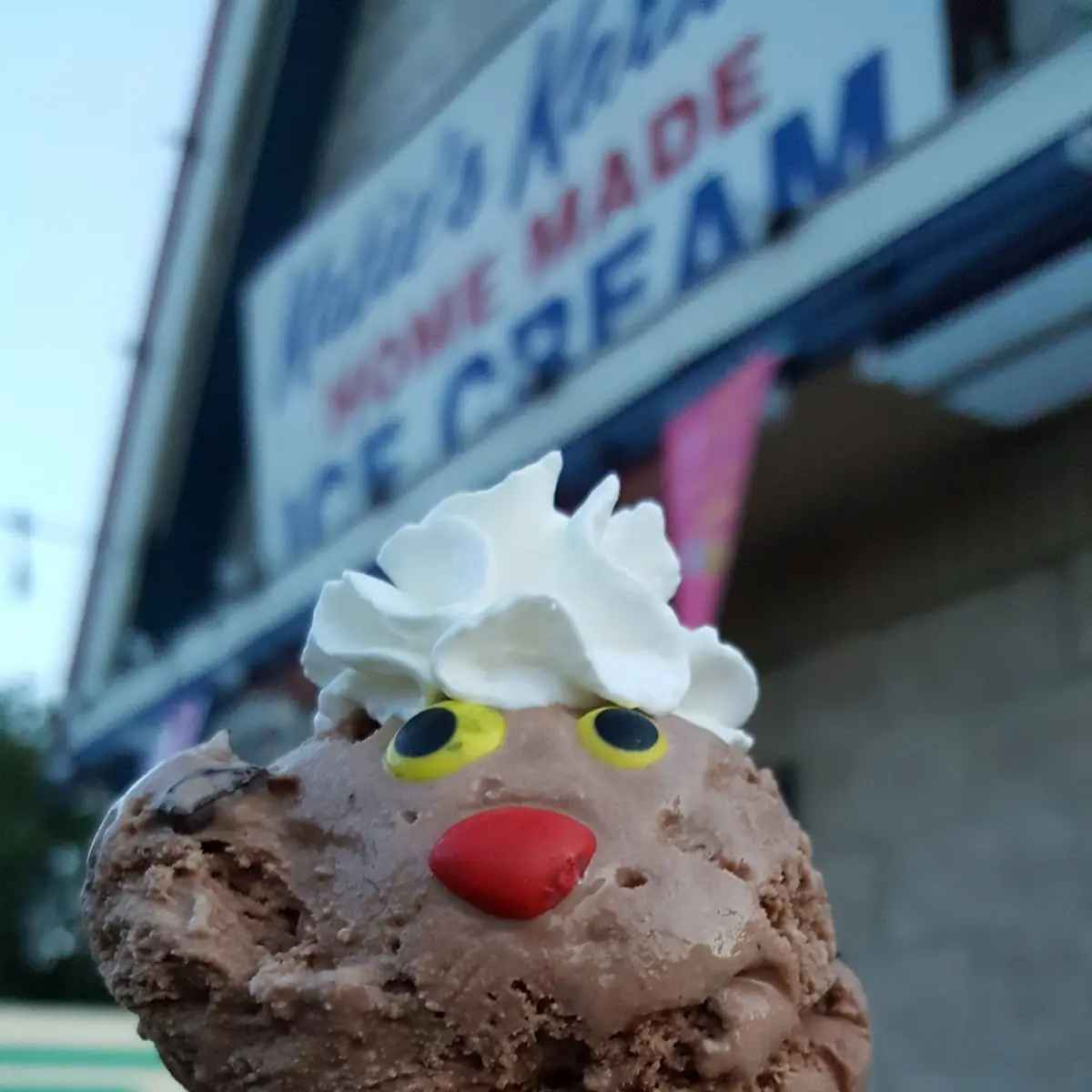 Chocolate Ice Cream