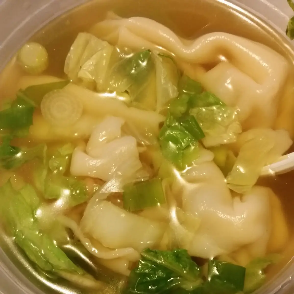Wonton Soup