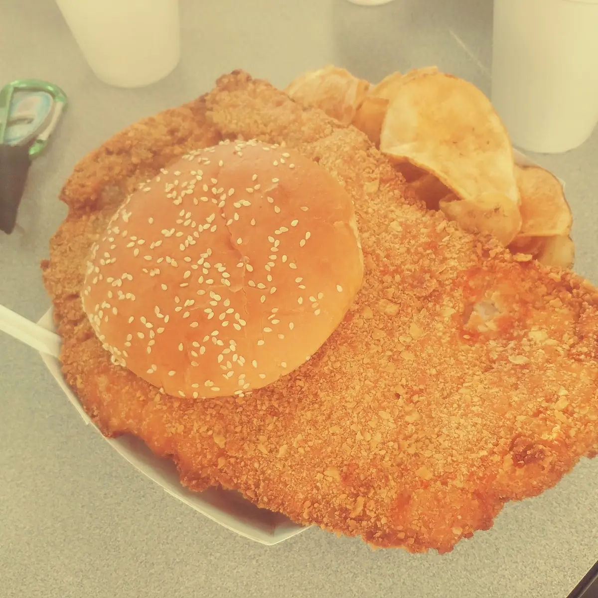 Breaded Pork Tenderloin Sandwich with Chips