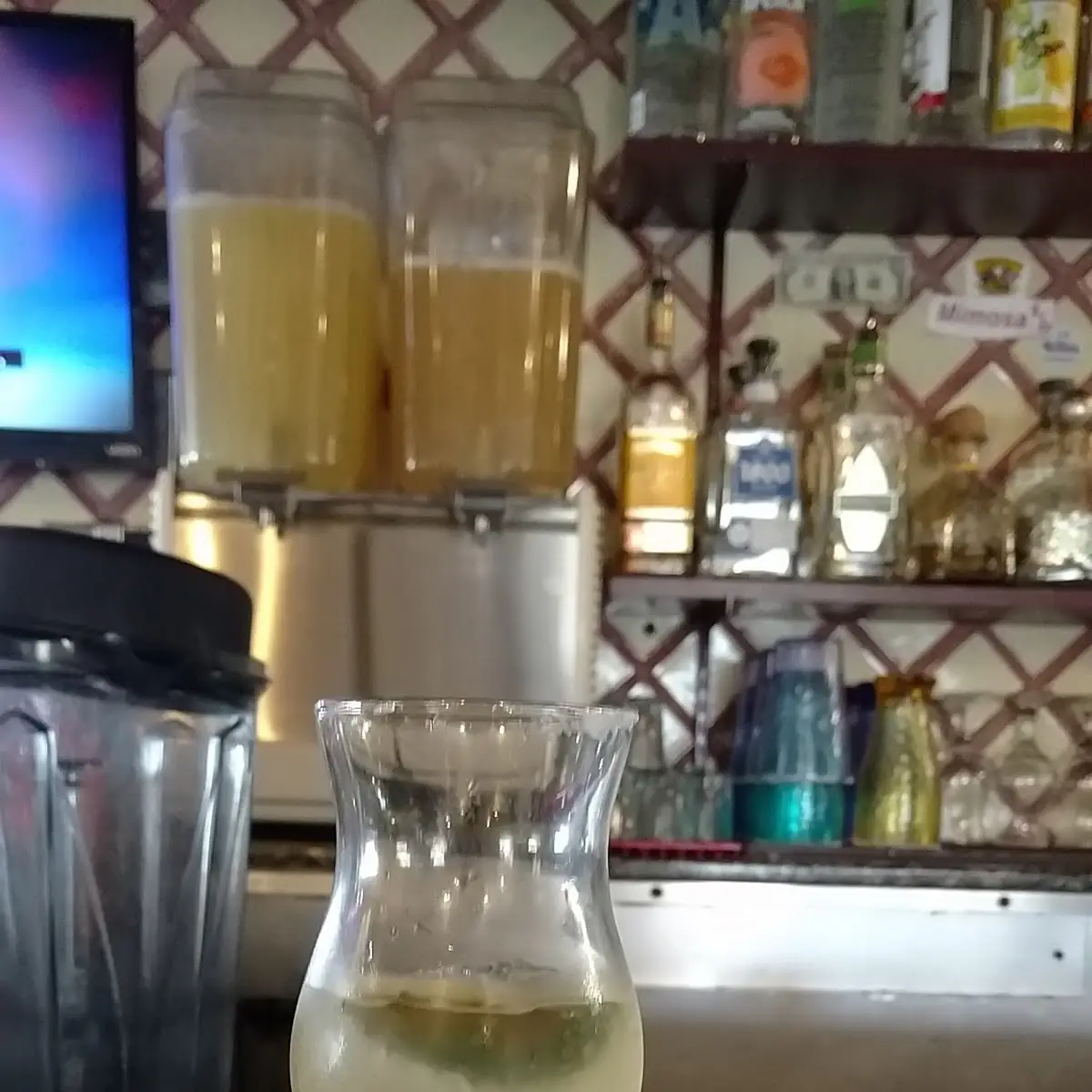 House Margarita