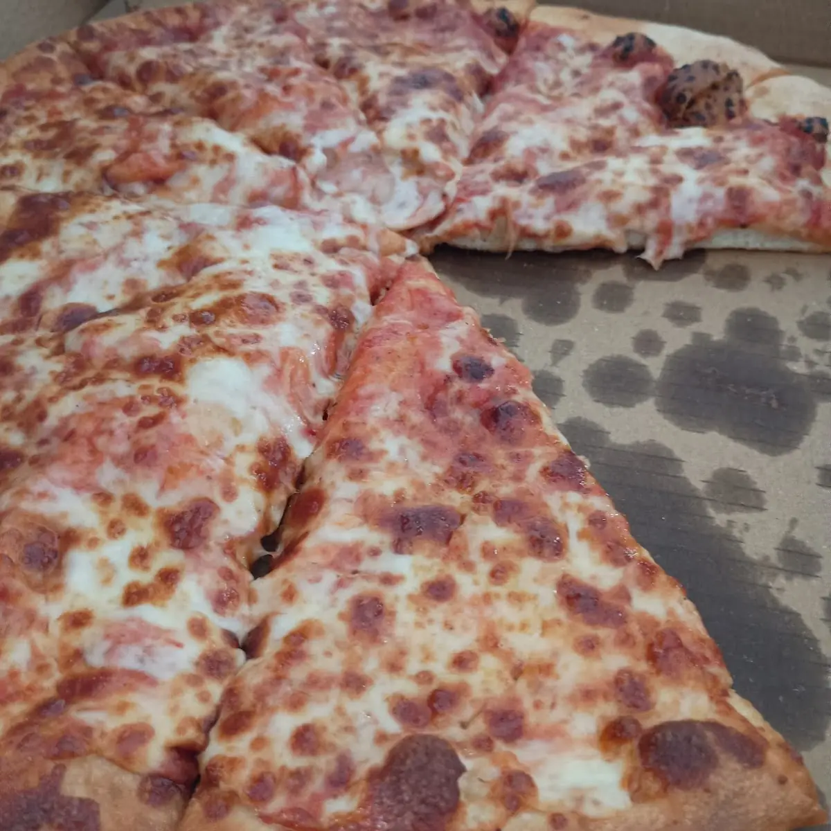 Terrible Cheese Pizza