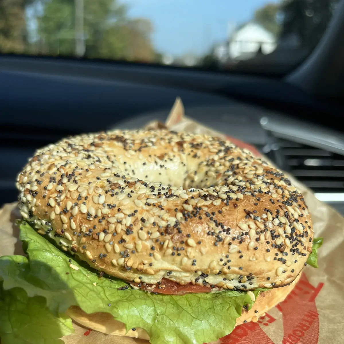Everything Bagel with Cream Cheese